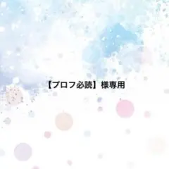 2026年最新】プロフ必読の人気アイテム - メルカリ