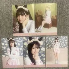 乃木坂46 瀬戸口心月③ 生写真 ハロウィン2025