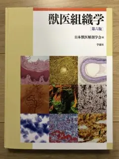 2026年最新】獣医組織学 第9版の人気アイテム - メルカリ