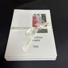 メッセージカード　封筒付　カメリア6種　17セット　レア