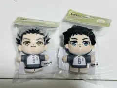 ハイキュー！！もちぴこぬいぐるみ⑩角名倫太郎 北信介 - メルカリ
