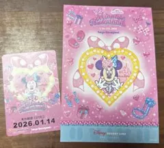 ディズニーリゾートラインフリーきっぷ　期限切れ　スタンプラリーセット　ミニパル