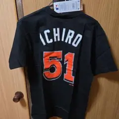 Item thumbnail for item 1d0d981d-6ea0-44bf-bdf2-ba6978af2d35