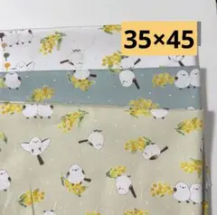 【3枚】小学校ランチョンマットオーダー35×45 シマエナガ