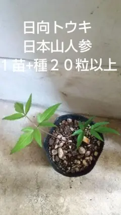 user_eb80ed66様 リクエスト 3点 まとめ商品