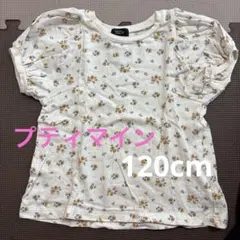 プティマイン　Tシャツ　120cm