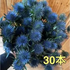 slow様 リクエスト 3点 まとめ商品