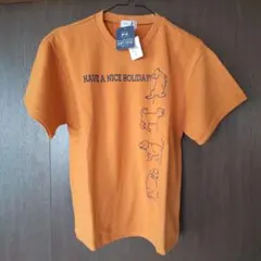 Item thumbnail for item 88627fbb-c46f-4449-9ef0-d51dcd9a7d1e