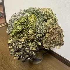 いっちゃん様専用】アジサイ 深紫〜黄緑、赤紫〜黄緑 大中ブーケ 茎有6