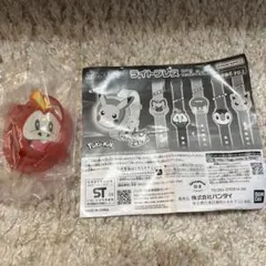 ポケモン ライトブレス（ホゲータ）