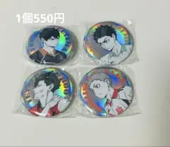 ハイキュー　ポートレートシャイニー缶バッジ