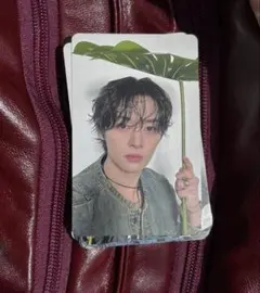 スキズ　エコパ　2日目　トレカ　リノ