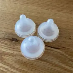 Item thumbnail for item c8d81b0c-afe2-4827-bb16-5e4653f1947c