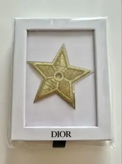 祝日セール！新品未使用⭐︎Dior Star Pin ゴールド 星型