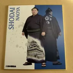 Item thumbnail for item 7f60c1a5-c468-466c-b62a-d0842633e428