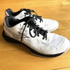 【いけ様専用】Mizuno ウェーブファングEL2バドミントンシューズ 26.5