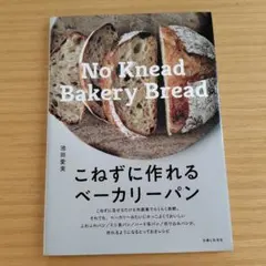 こねずに作れるベーカリーパン 池田愛美　主婦と生活社