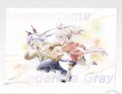 ウマ娘　一番くじ　G賞　オグリキャップ タマモクロス 描きおろしアクリルボード