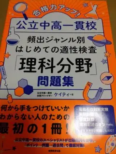 Item thumbnail for item 73edec5e-2dff-4fdc-a370-aece2bc00de1