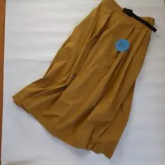 Item thumbnail for item 0a8bbe4a-cc5f-40d7-8e5c-f738a2027ad0