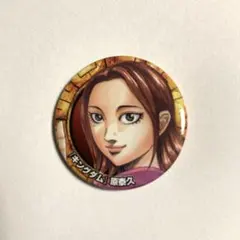 集英社　ナツコミ　2016年　非売品アニメキャラクター 缶バッジ 集英社 ナツコミ2016 ノベルティ缶バッジ ワンピース 僕の