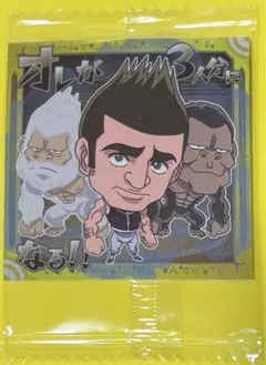 【新品未開封品】 HUNTER×HUNTER ウエハース ゴレイヌ Vol.3