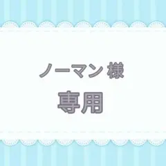 ノーマン様 リクエスト 2点 まとめ商品
