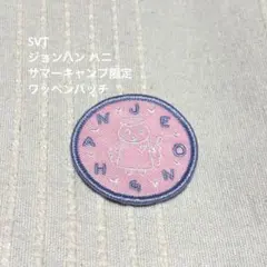 SEVENTEEN JEONGHAN ワッペン バッジ