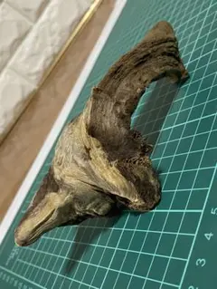 Item thumbnail for item 643b488e-b653-4f85-aebd-39f9fec857f6