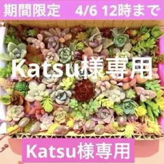 Katsu様専用　3箱セット