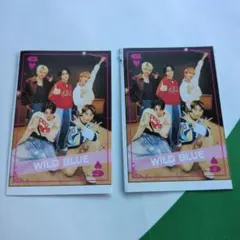 JUNON　2月号　イケメントランプ　WILD BLUE 2枚