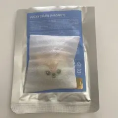 SEVENTEEN MINITEEN マグネット ジョシュア