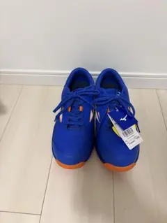 安全靴 ミズノ MIZUNO オールマイティ ALMIGHTY LS3 11Lのサムネイル