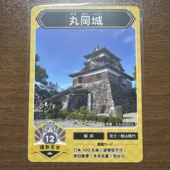 丸岡城 お城カード 日本100名城 トレーディングカード