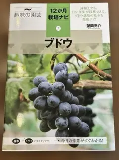 Item thumbnail for item b0817ae3-a13a-40b2-ab3d-d80b696ff8cd