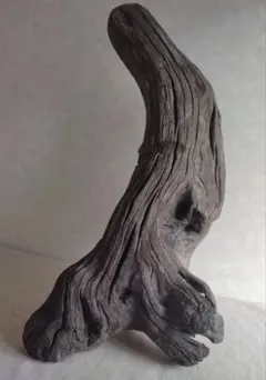 Item thumbnail for item 4cc9e1d0-114a-43c5-81ac-df7adcc00085