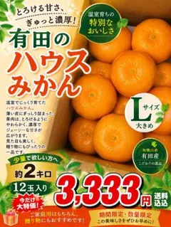 【和歌山県産】有田ハウスみかん Lサイズ 約2kg 12玉入り高糖度みかんキングのサムネイル