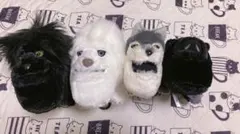 Item thumbnail for item e17b8c52-6e9b-45b3-8326-316c062b0dbb