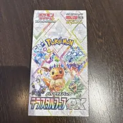 ポケモンカードゲーム　テラスタルフェスex