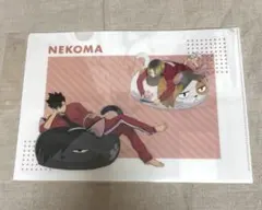 ハイキュー!! 描き下ろしクリアファイル JF2024 黒尾鉄朗 孤爪研磨