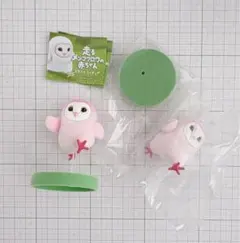 走るメンフクロウの赤ちゃん　ちー@プロフ必須様専用