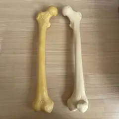 Item thumbnail for item a8c643a4-3ae3-4f9f-8b0b-ef43618179e3