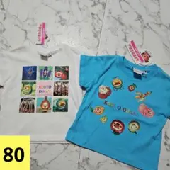 こびとづかん♡固有種Tシャツセット➅