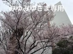 みゆみゆさま専用☆交換ポシェット