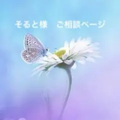 そると様　専用