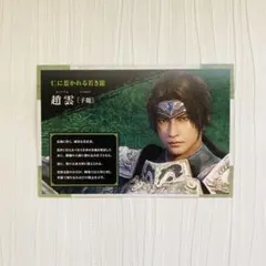 真・三國無双8 カードセット 姜維 劉禅 - メルカリ