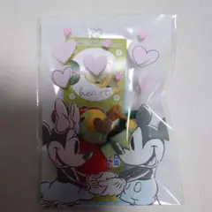 ポケモン チョコエッグ 旅立ちの3匹 ナエトル