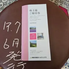 東急不動産ホールディングス株主優待券(5000株以上保有)