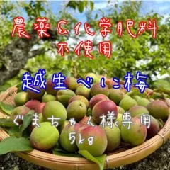 NAGOMIの梅『ぐまちゃん様専用5kg』越生べに梅のサムネイル