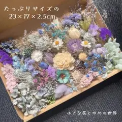 ✤花材セット8✤ブルーパープル系たっぷり20種以上プリザーブド✼ドライおまけあり